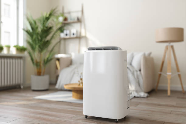 Best Local HVAC Companies  in Flora, MS
